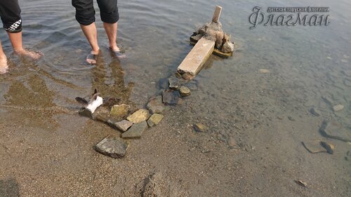 DSC_20220808111711_0243